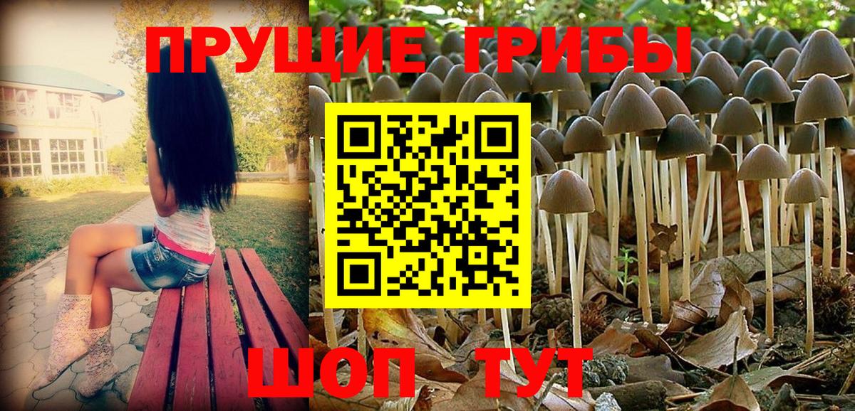 Псилоцибиновые грибы Cubensis  Вход с VPN  Новомосковск 